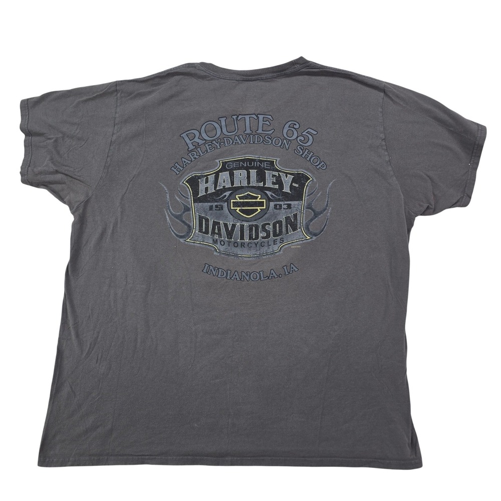 Harley-Davidson Route 65 Indianola IA T-Shirt Mens 3XL Gray Flaming Skull Biker - Picture 3 of 9